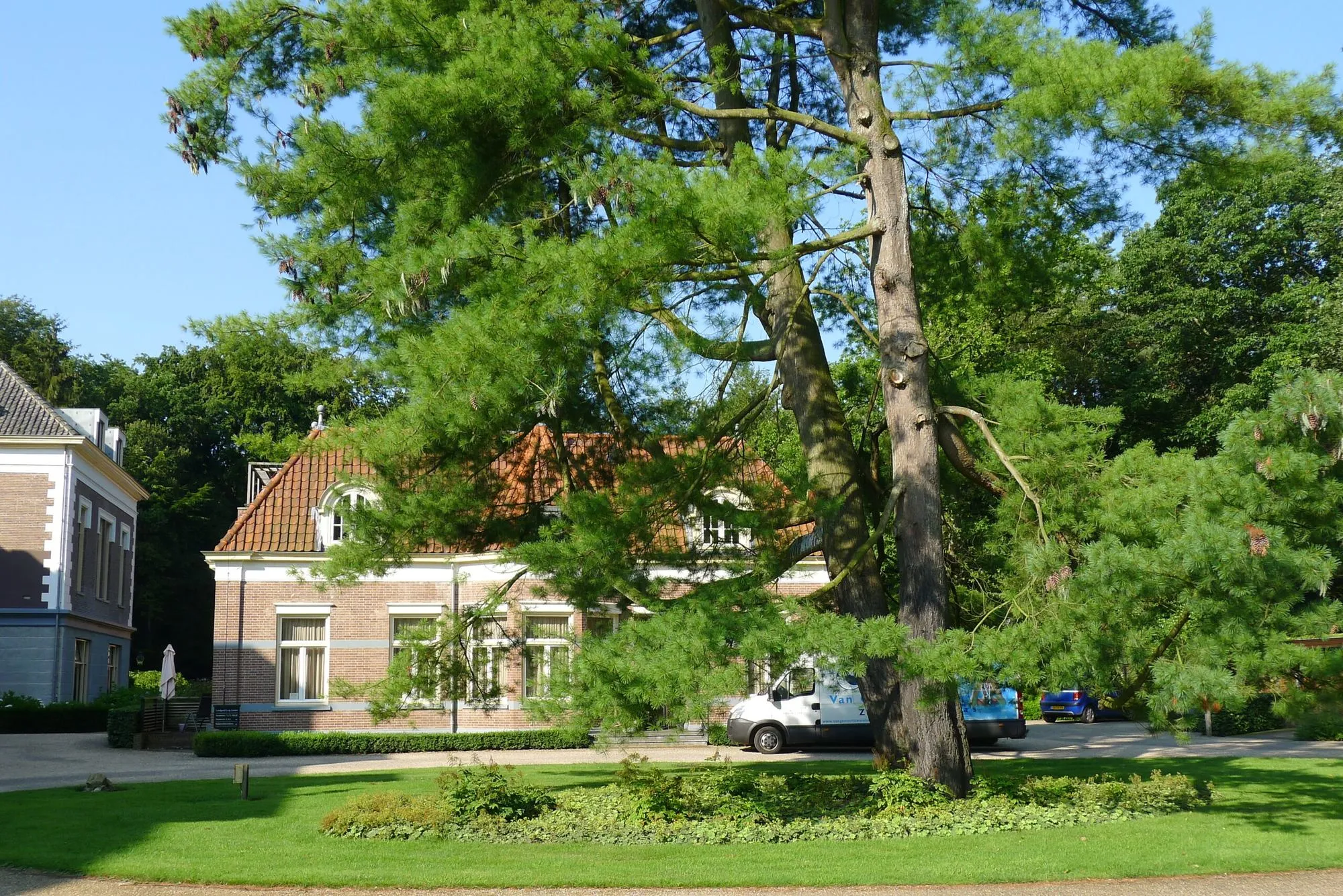 Publieke tuin met duurzame beplanting en uitnodigend ontwerp