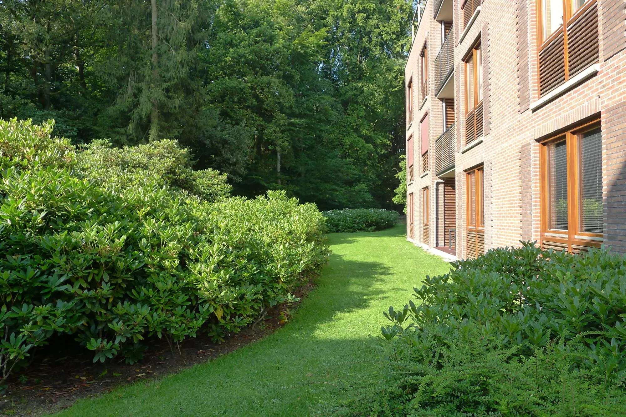 Publieke tuin met duurzame beplanting en uitnodigend ontwerp