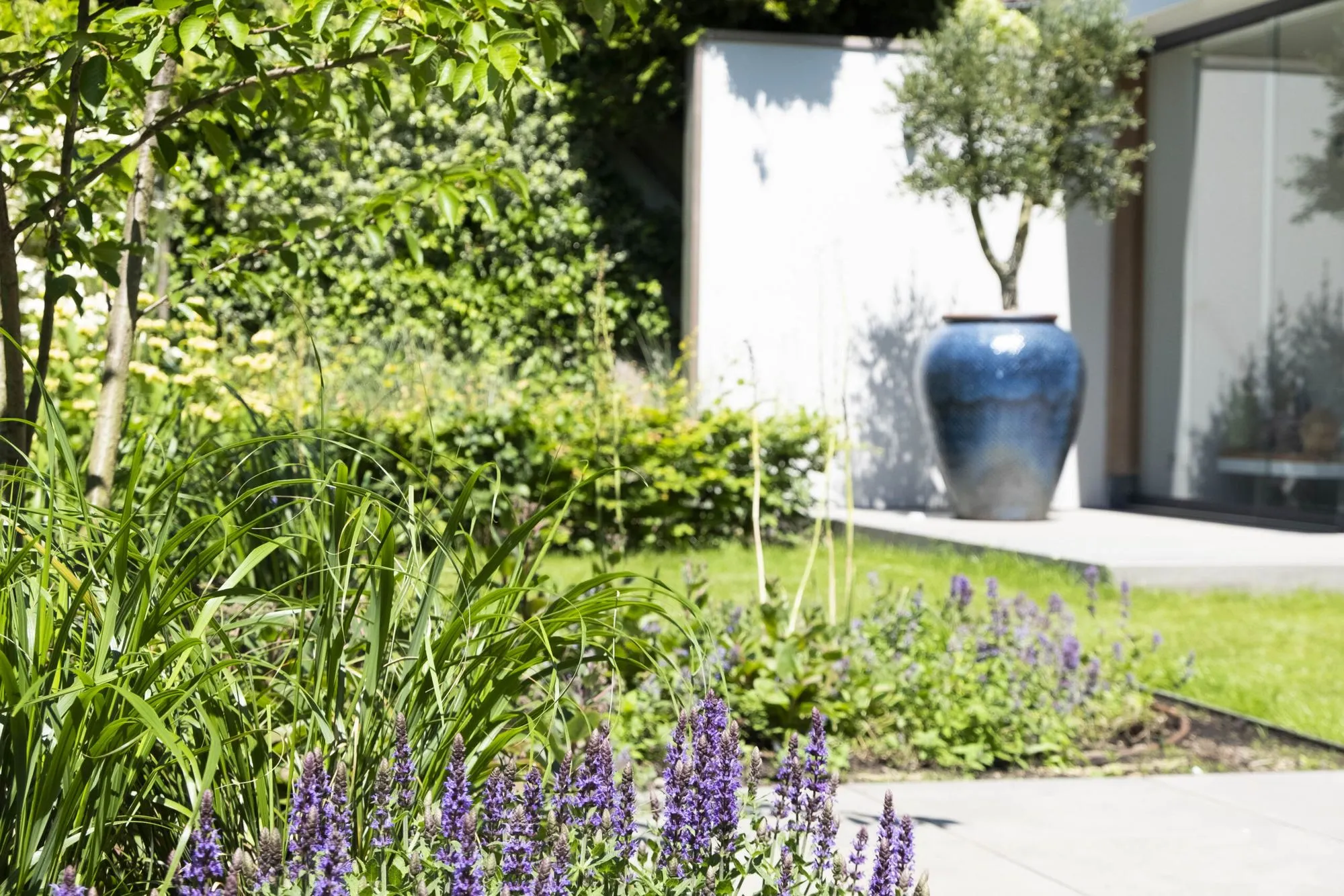 Strakke lijnen en eigentijdse elegantie in een moderne tuin