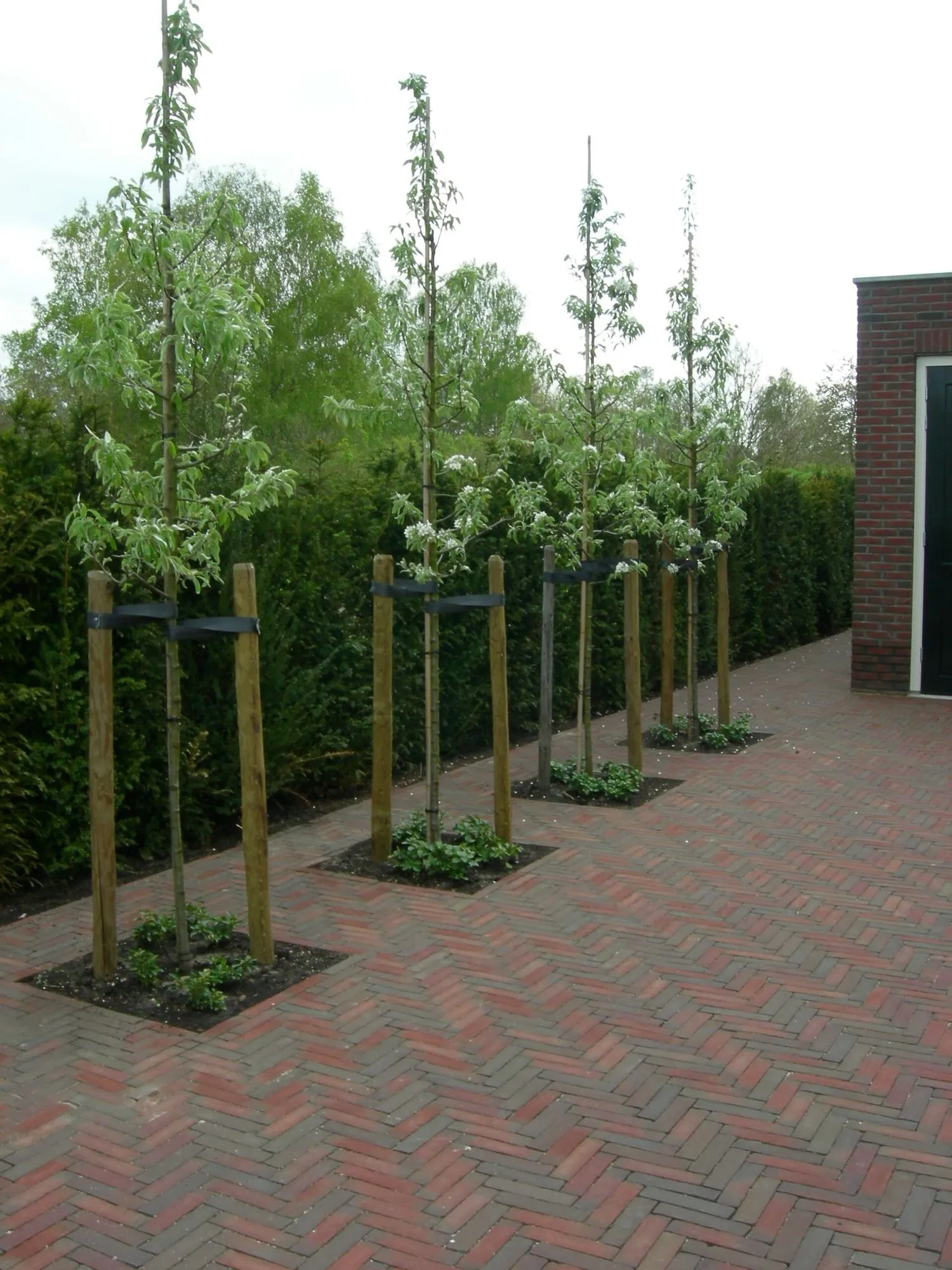 Moderne tuin met strakke lijnen en waterpartijen