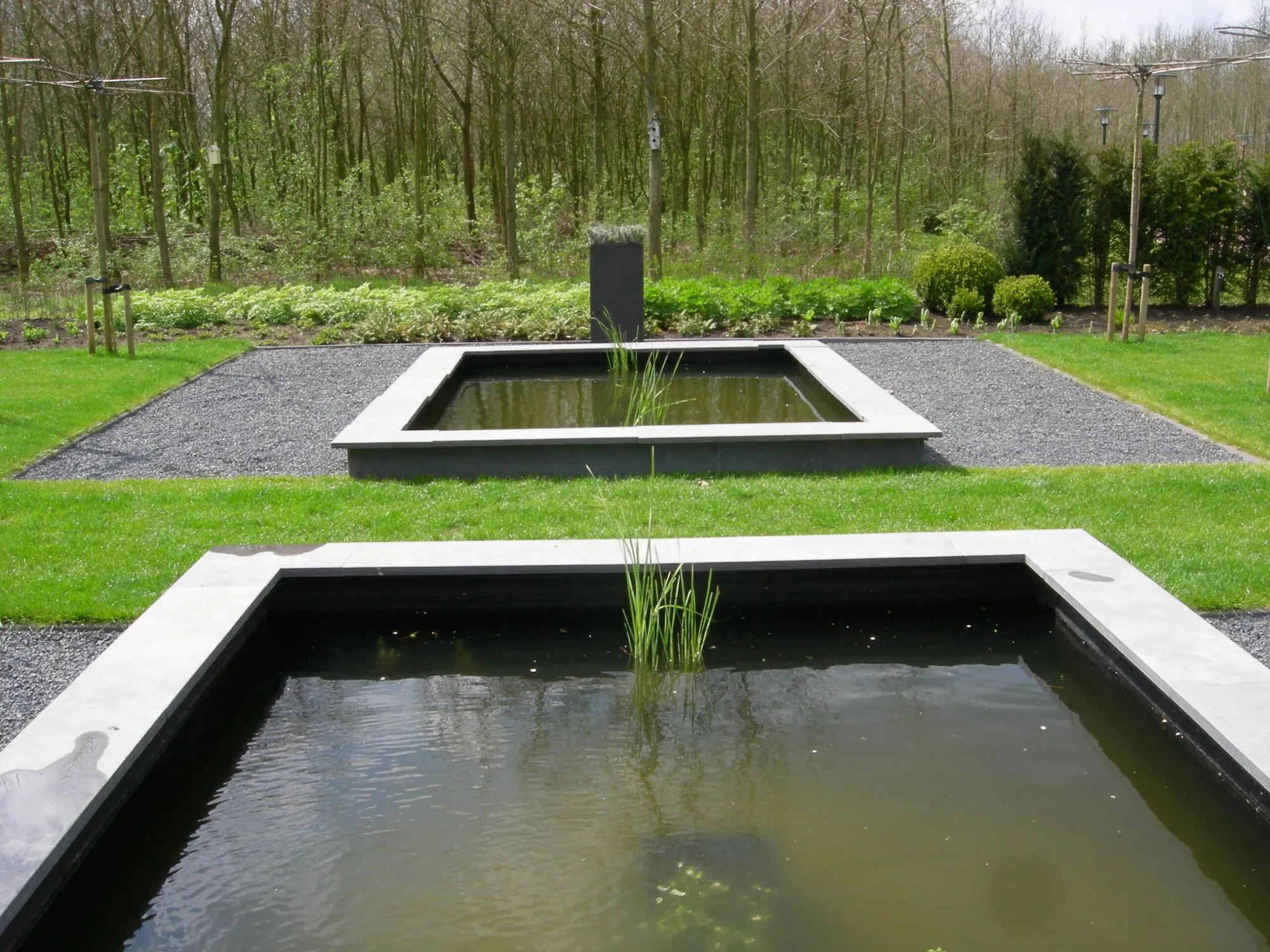 Moderne tuin met strakke lijnen en waterpartijen