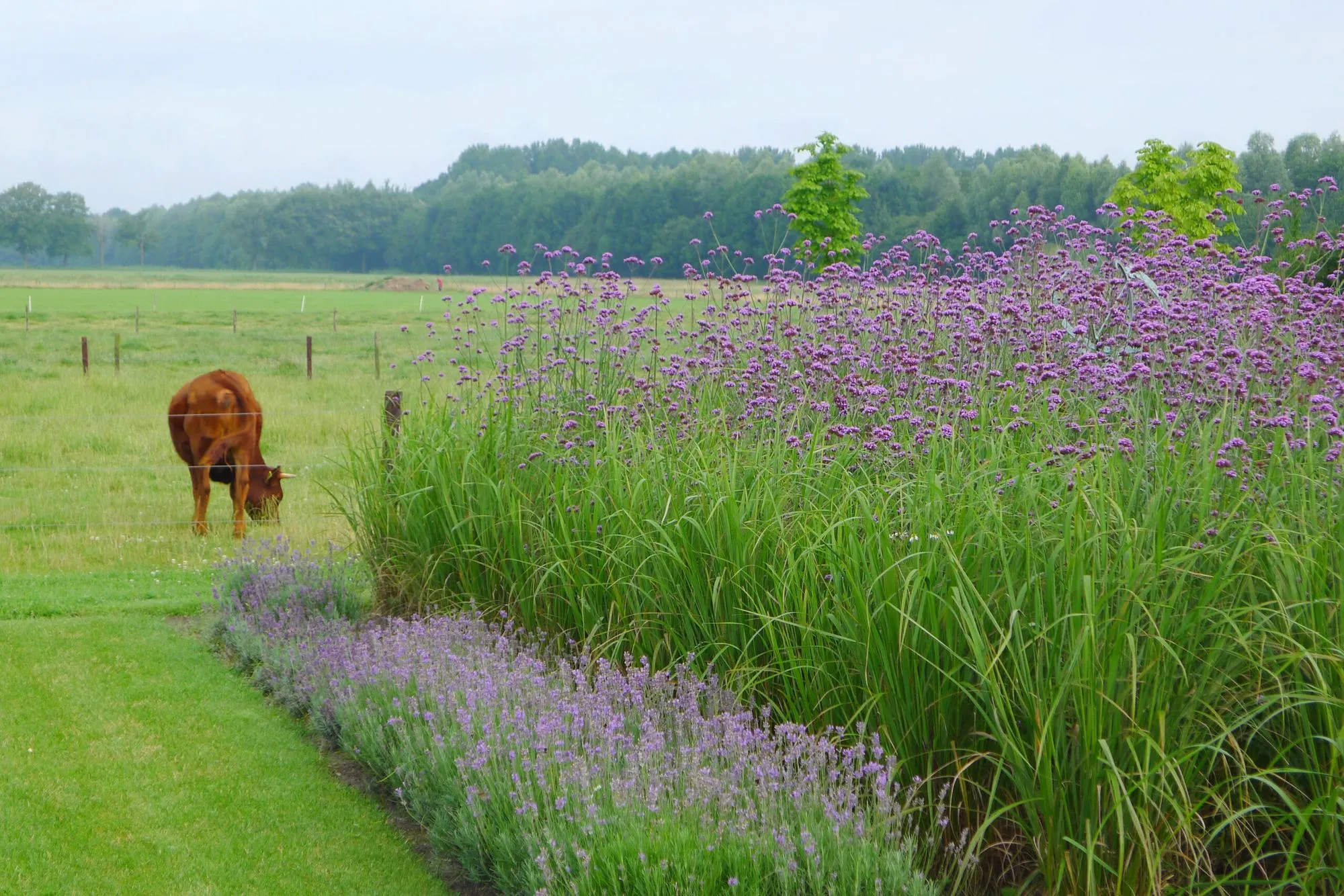 Natuurlijke villatuin in het buitengebied
