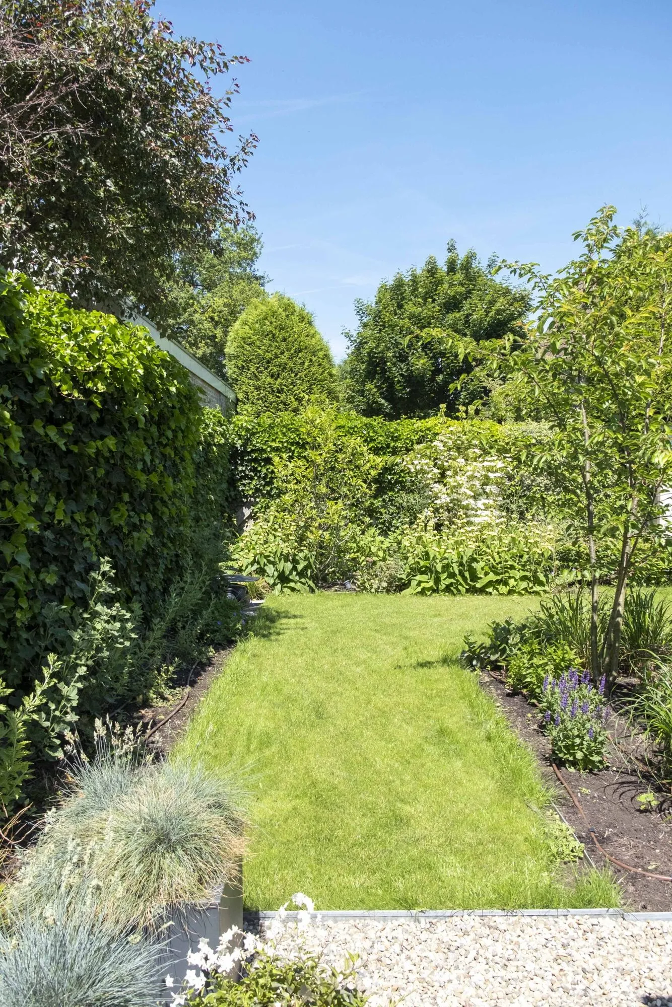 Strakke lijnen en eigentijdse elegantie in een moderne tuin