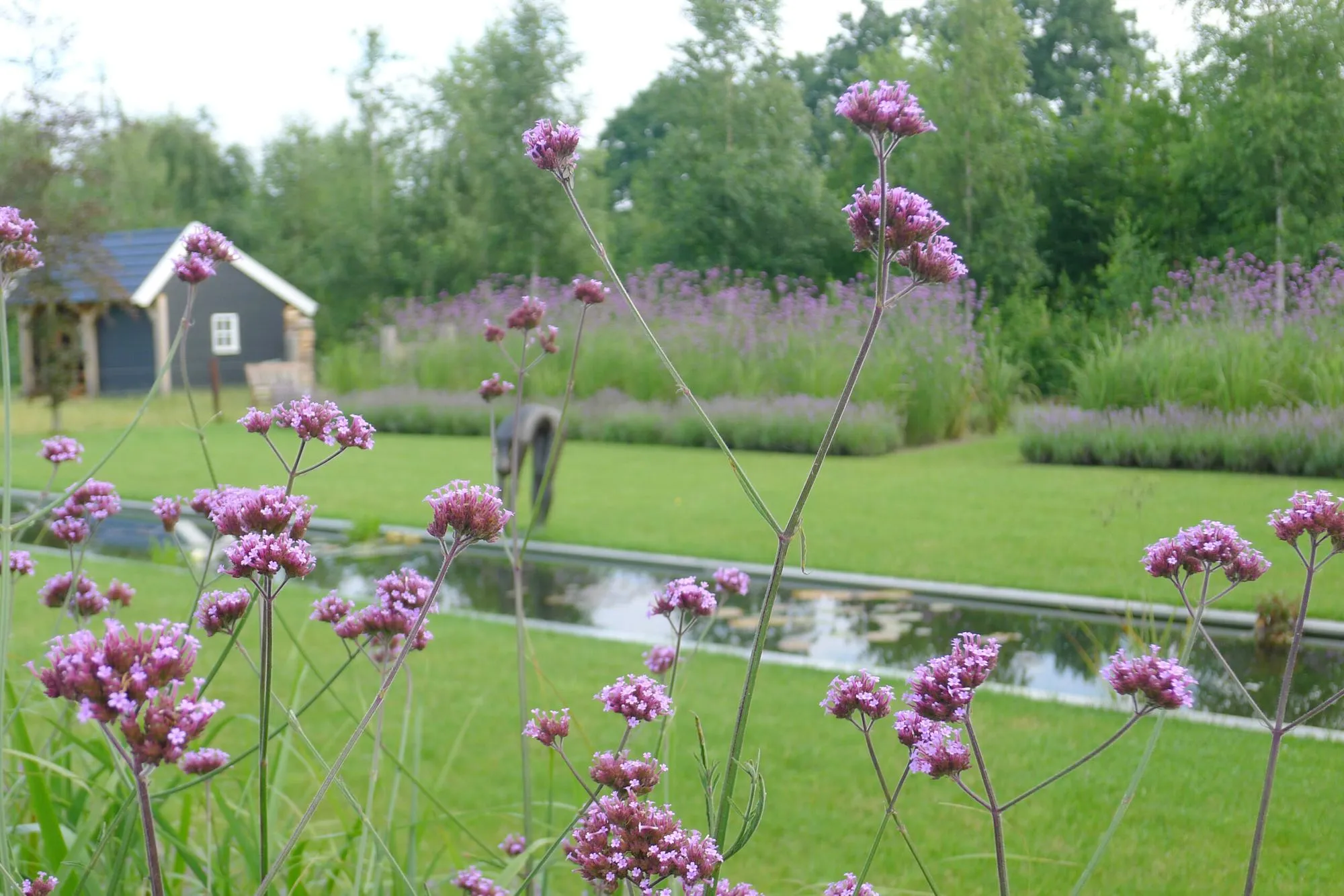 Natuurlijke villatuin in het buitengebied