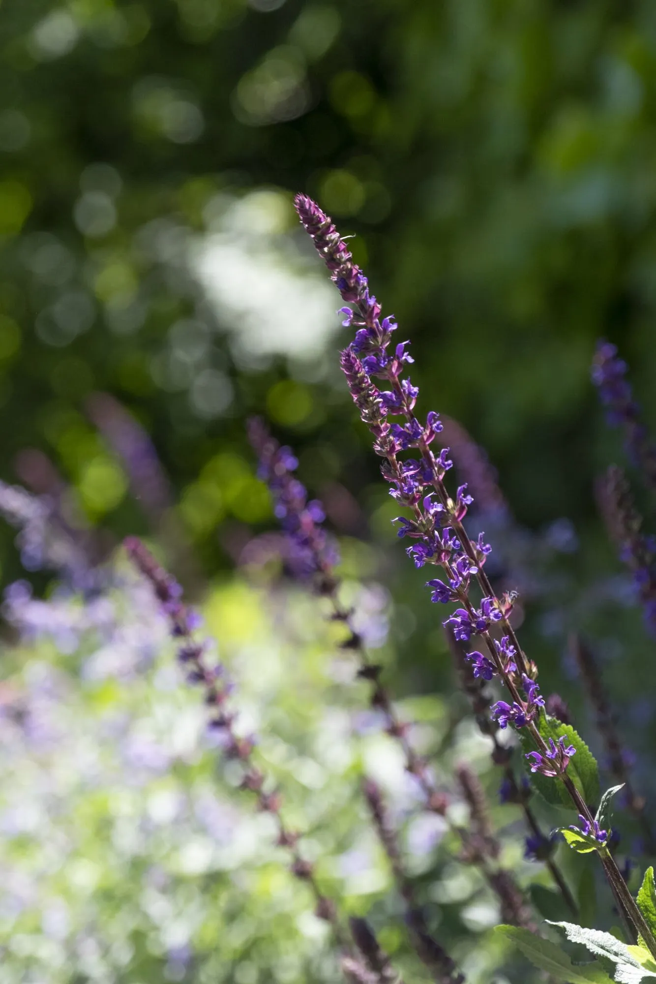 Strakke lijnen en eigentijdse elegantie in een moderne tuin