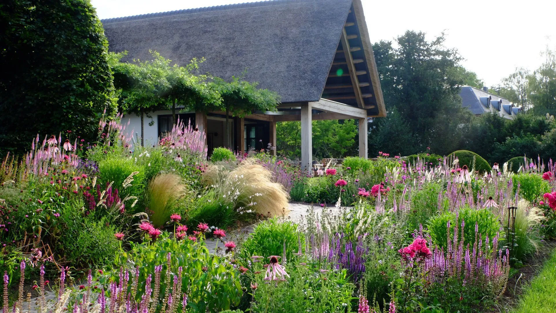 Prairietuin met prairiebeplanting roze