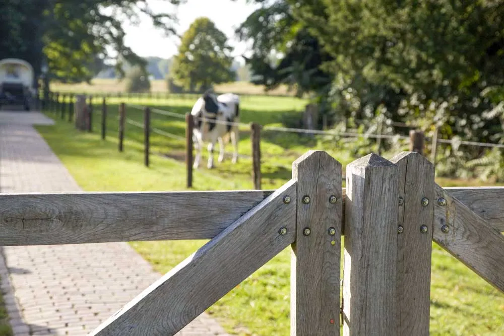 Klassieke landgoedtuin met zichtlijnen en symmetrische hage