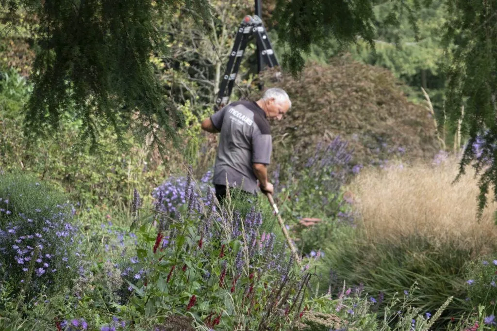 Tuinonderhoud