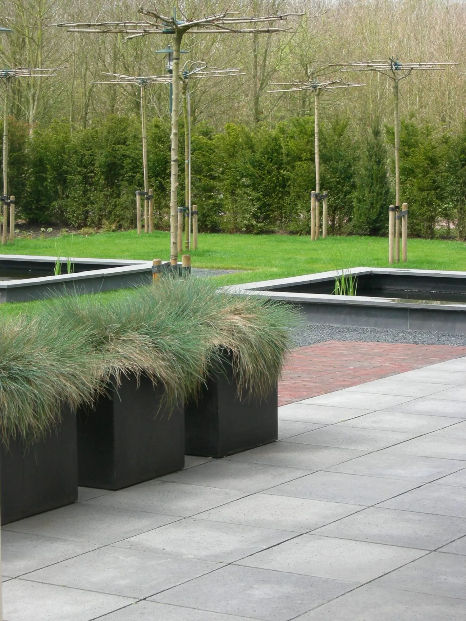 Moderne tuin met strakke lijnen en waterpartijen
