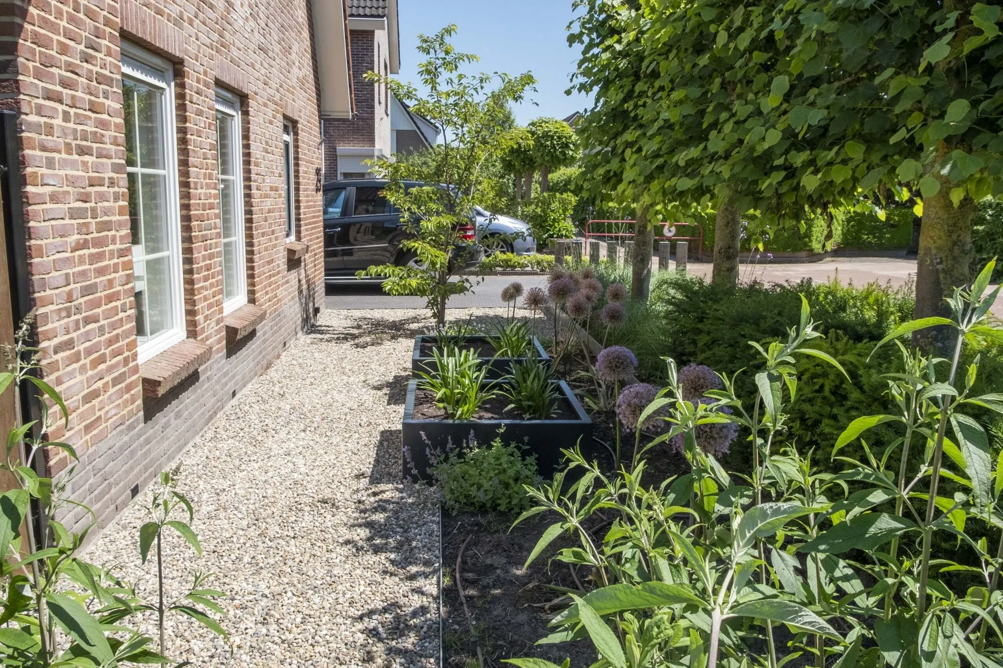 Strakke lijnen en eigentijdse elegantie in een moderne tuin