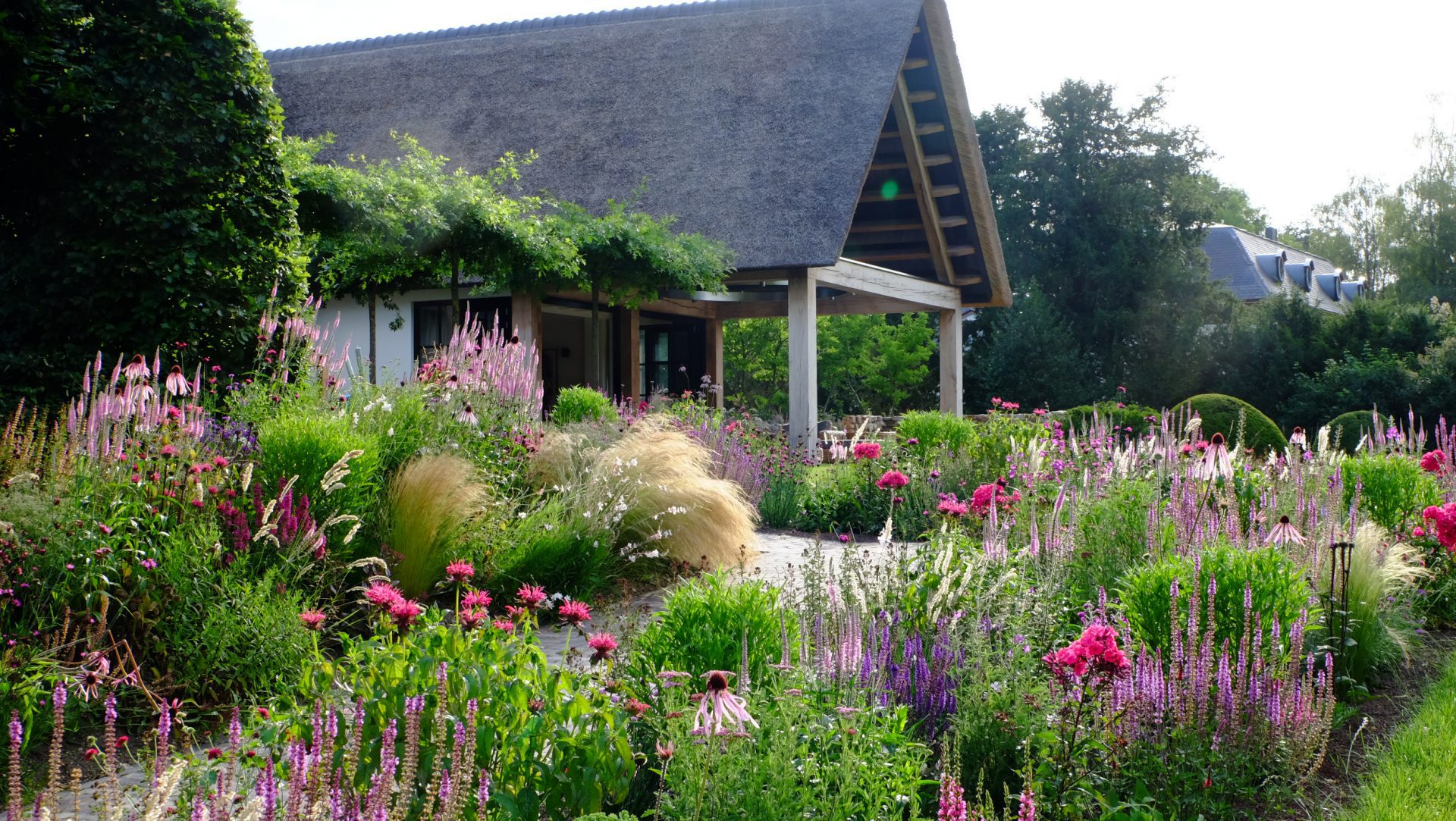 Prairietuin met prairiebeplanting roze
