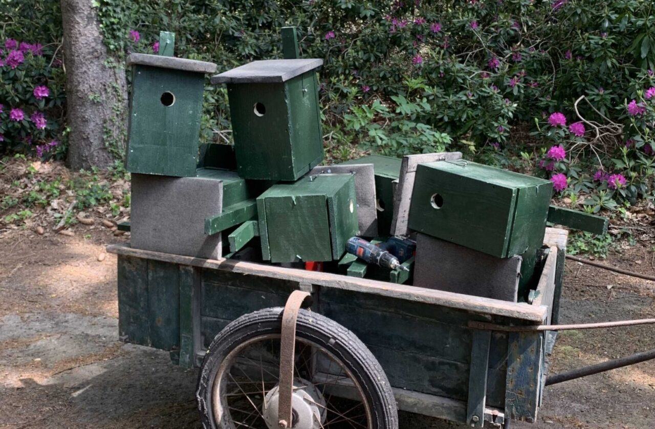 voorjaar kar met vogelhuisjes