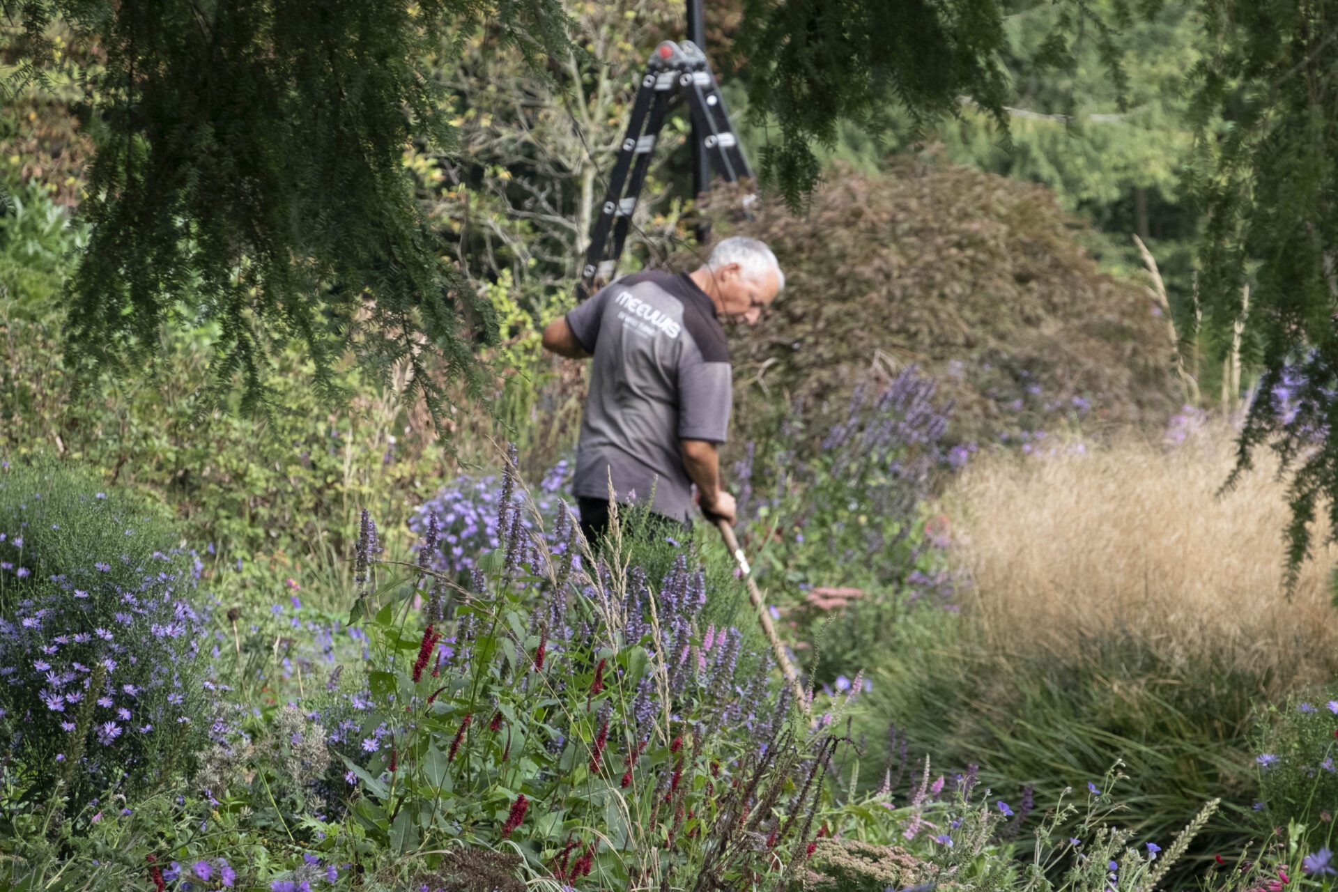 hovenier aan het werk in kleurrijke border
