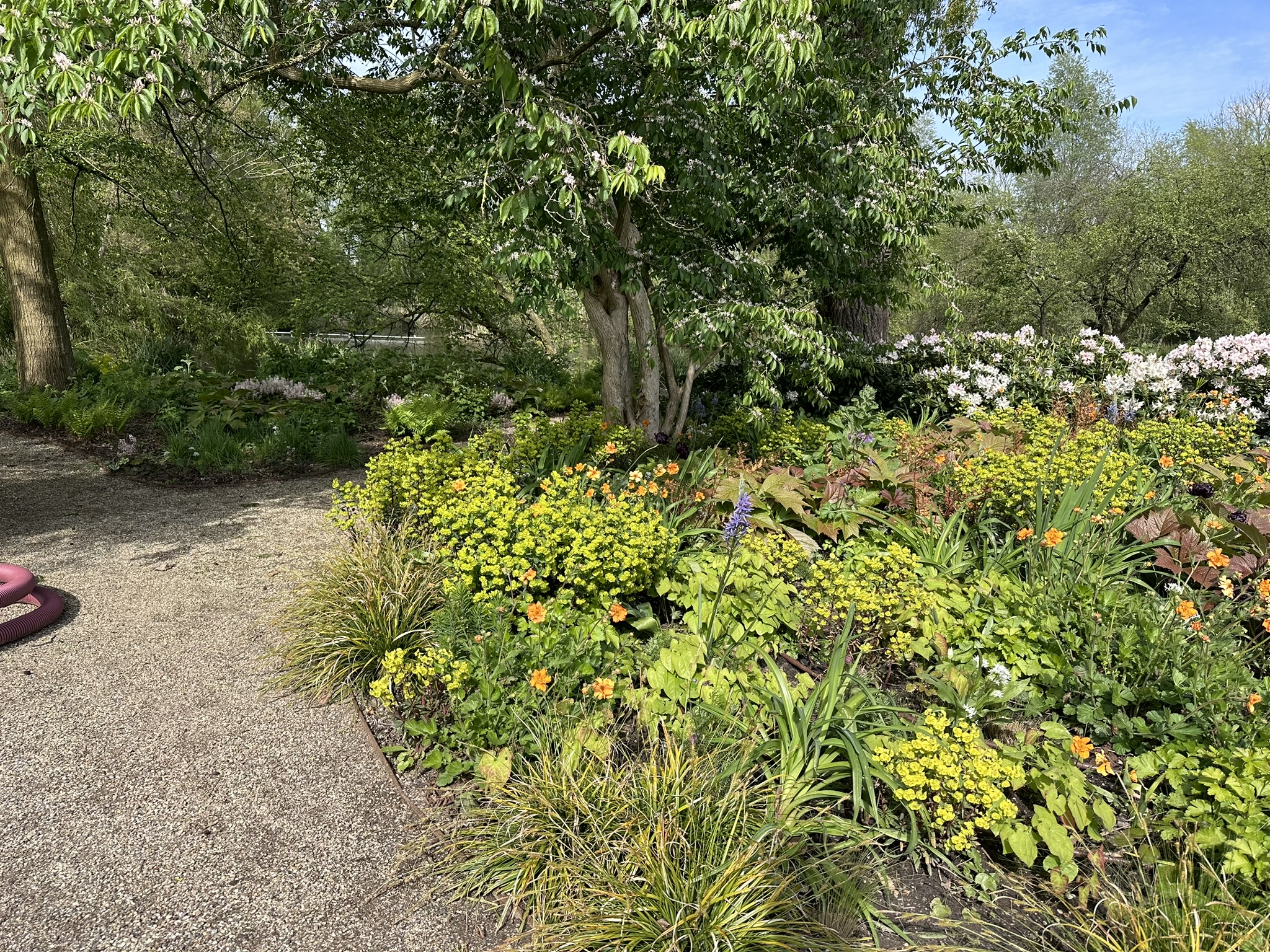 Natuurlijke tuin met bloemenborders, bomen en zichtlijnen