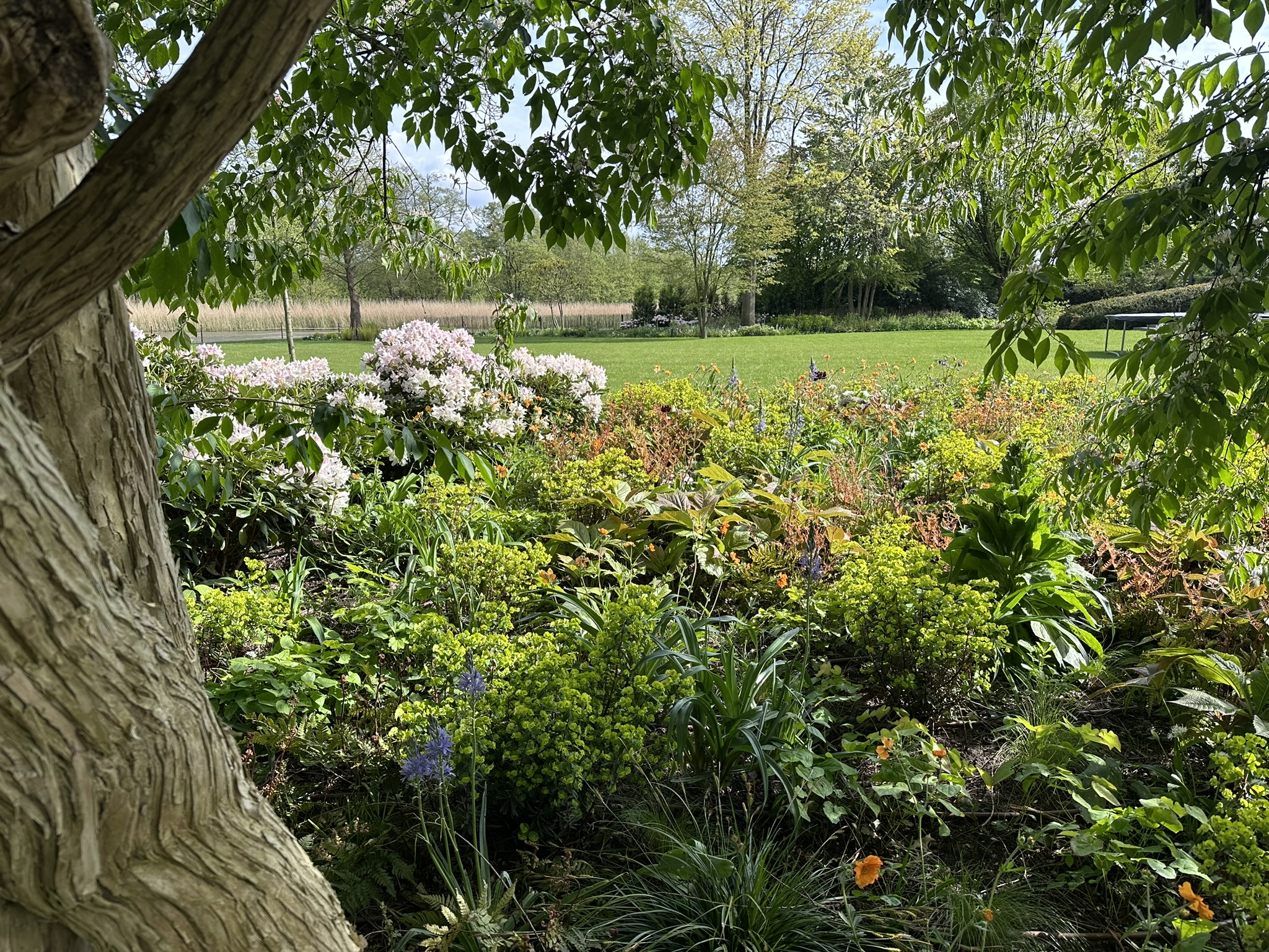 Natuurlijke tuin met bloemenborders, bomen en zichtlijnen