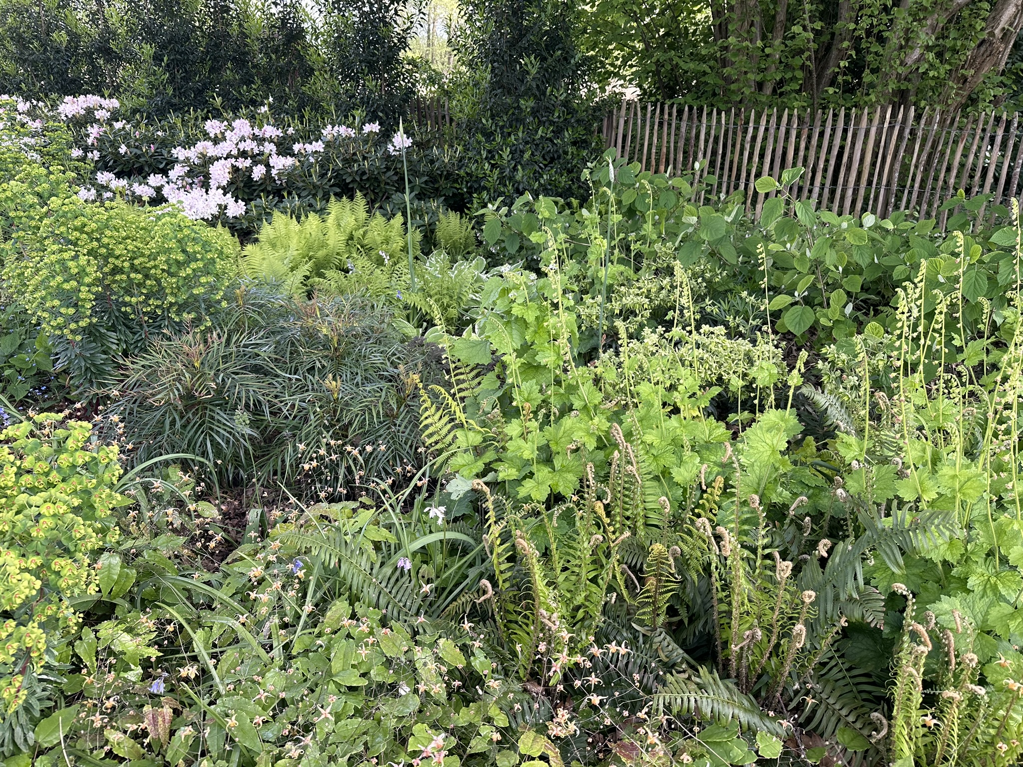 Natuurlijke tuin met bloemenborders, bomen en zichtlijnen