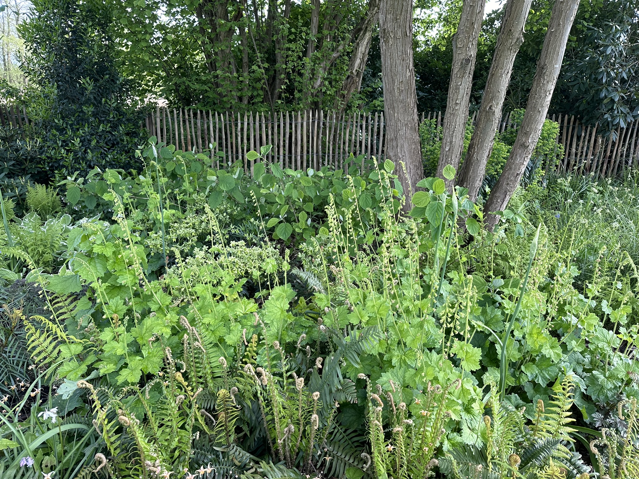 Natuurlijke tuin met bloemenborders, bomen en zichtlijnen