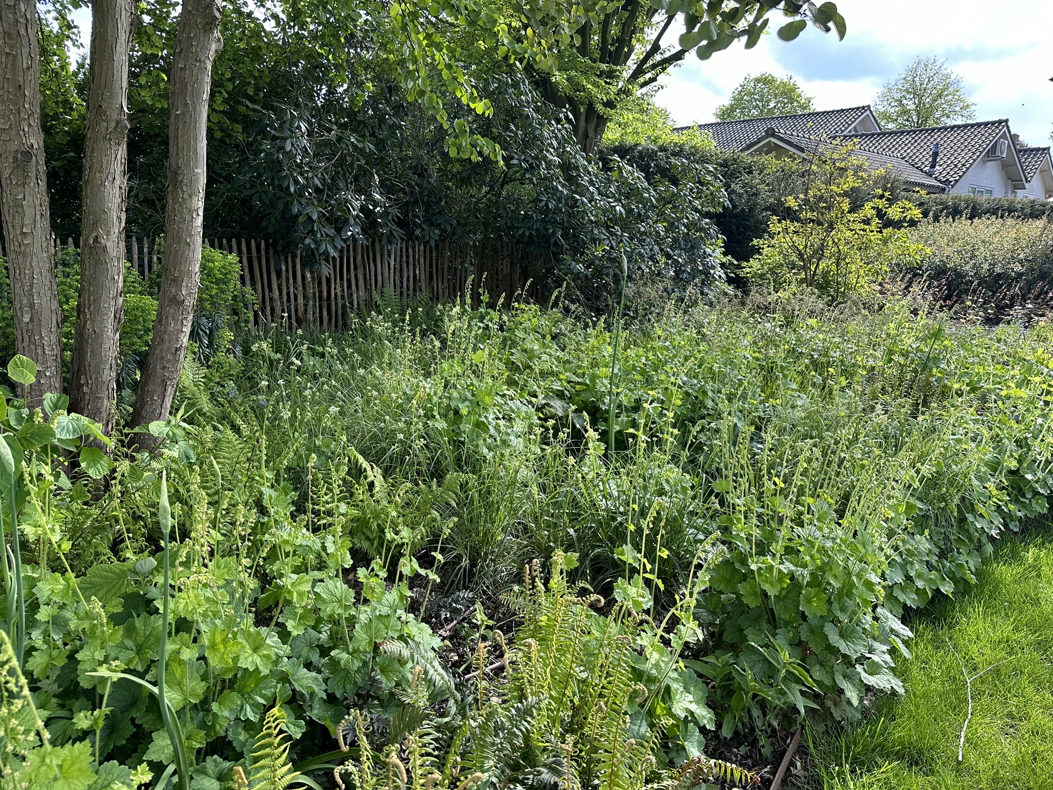 Natuurlijke tuin met bloemenborders, bomen en zichtlijnen