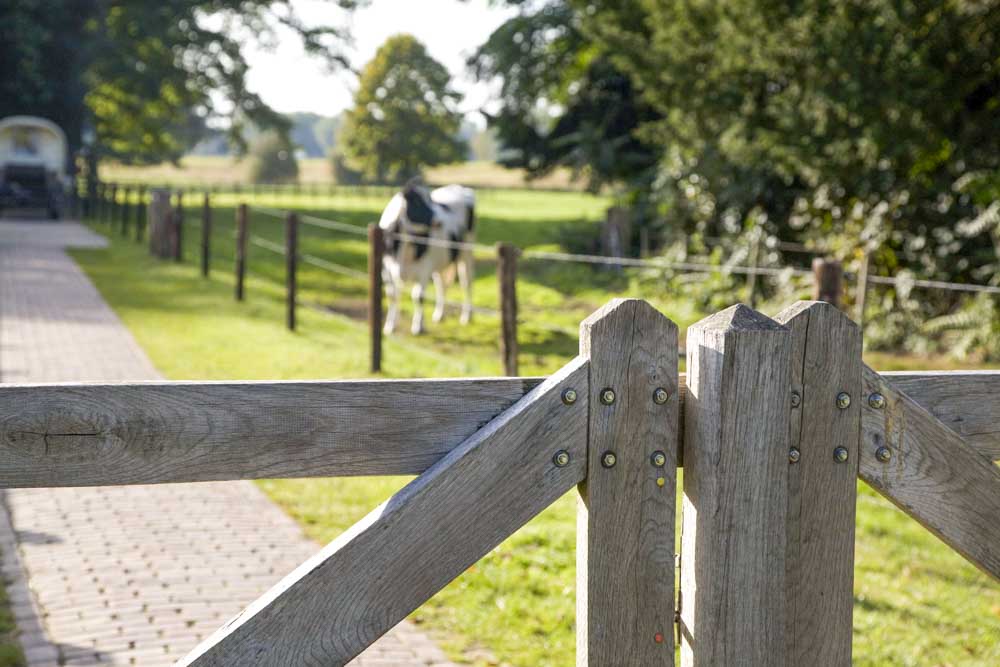 Klassieke landgoedtuin met zichtlijnen en symmetrische hage
