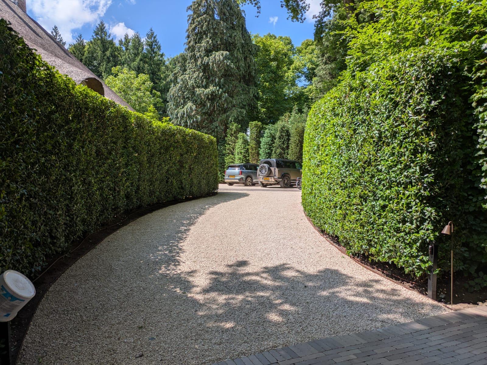 strak gesnoeide haag onderhoud