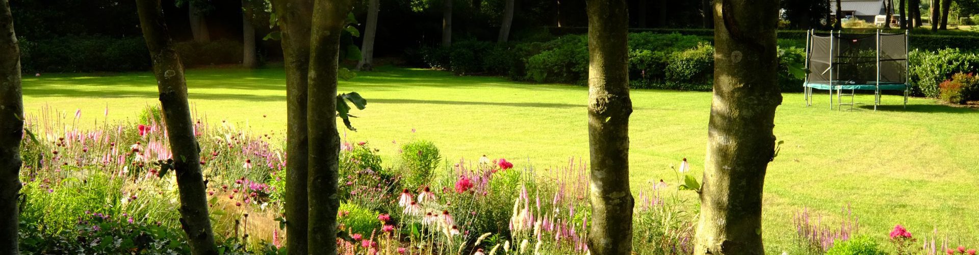 Prairietuin met prairiebeplanting roze