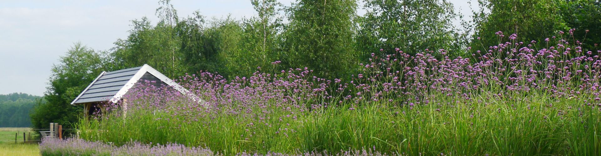 Langgerekte waterpartij met reflectie van de lucht en kleurrijke beplanting eromheen