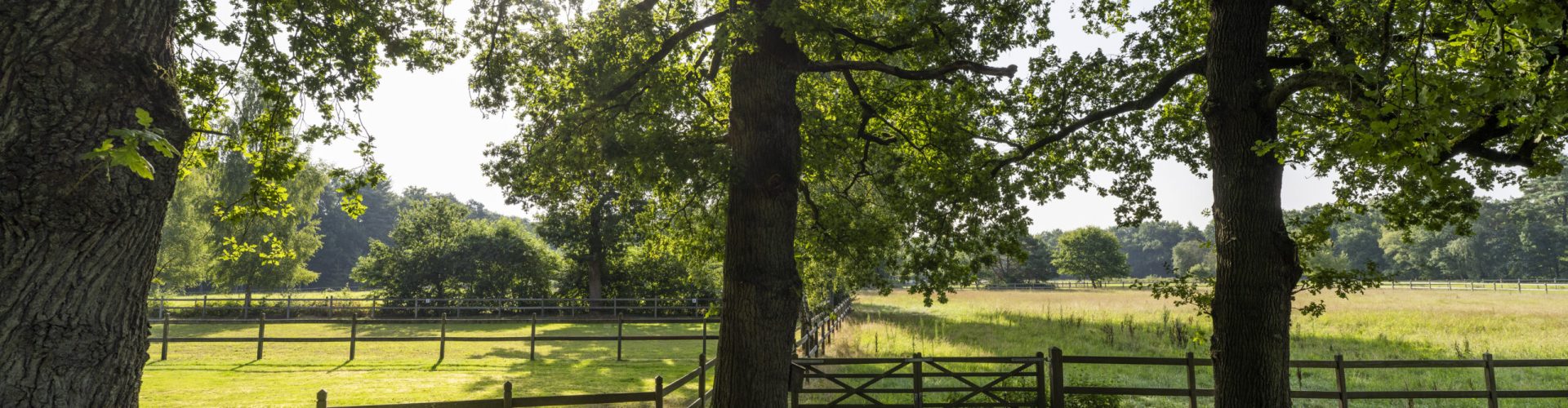 eperheemweg 017 paul starink